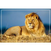 Alikhon Avazkhonov's avatar