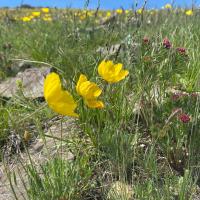 Avatar of Д. Түвшин