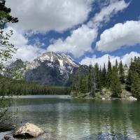 Avatar of Nicoli Kladeshnicuz