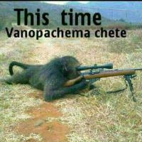 Avatar of Pliers Pinjisi