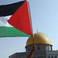 Avatar of mohamed hosny