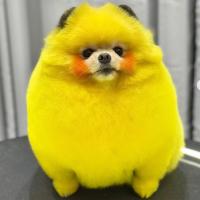 Avatar of 👯‍♀️