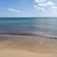 Adlane Arab's avatar