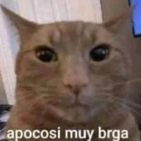 Avatar of Alessandro