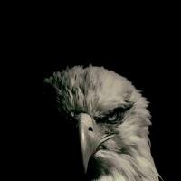 Avatar of muslihiddin06