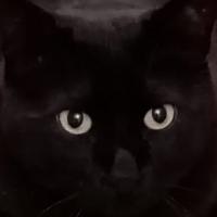 Mustafa Yelken's avatar