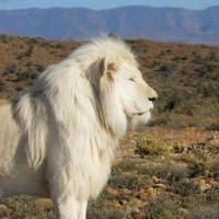 Avatar of Ashok Gandhi