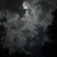 Avatar of mysoremallige