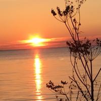 Avatar of Abduul Ali