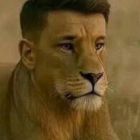 Avatar of Gustavo Narez