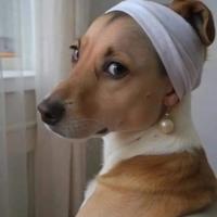 Avatar of Nainggolan Elcman