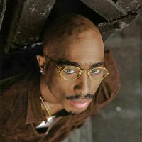 Avatar of Najmah Yusuf