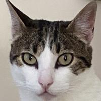 Avatar of Nuno Nunes