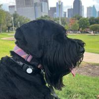 Avatar of Nate Gissentanner