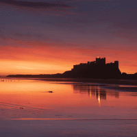 Guadalupe Montano Vicente's avatar