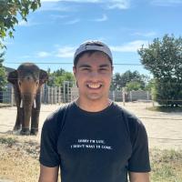 Omár Eltigani's avatar