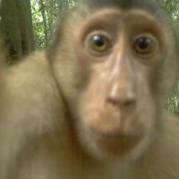 Avatar of Kacper Ugorek