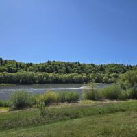 Avatar of New-Dawn-Fades