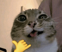 Avatar of newlifeinJ