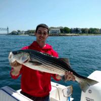 Avatar of Nick Bernardo