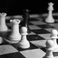 Avatar of Noah Fecker