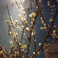 Avatar of Đào Nguyên Thư