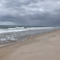 Avatar of Nichole Wiman