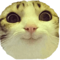 Avatar of Никита