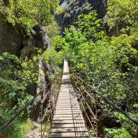 Avatar of NickVanWinkle