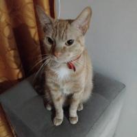 Iris Nicole Mollo Figueroa's avatar