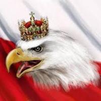 Avatar of niewidzialemgo