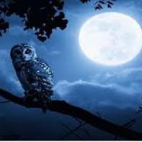 Anjaneya Rao's avatar