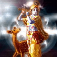 Avatar of Nikunj Patel