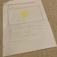 Avatar of Arunava Prabhahakarn