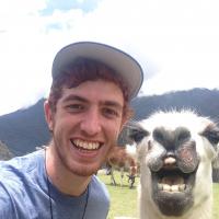 Noam Feinberg's avatar