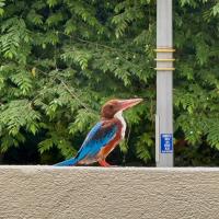 Avatar of Nocgamer 87