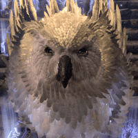 Avatar of Nootzer648