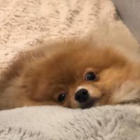 Avatar of jenson lee