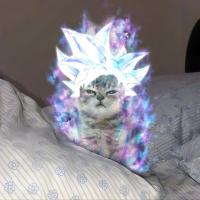 Avatar of Hero_no.1