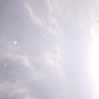 Avatar of nyny9876457