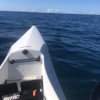 Avatar of Matt Ocean