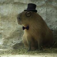 Avatar of Octavio Arrestegui