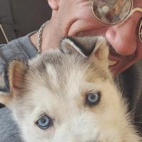 Avatar of sidi younes