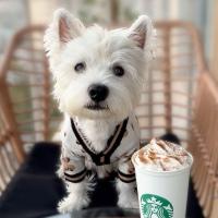 Avatar of oldtimeyrootbeer