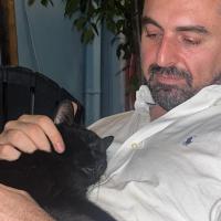 Avatar of Omer Sarikaya