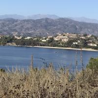 Avatar of orbitalknight