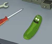 Avatar of Moshe Hakovesh