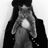 Safiye Oyku Ince's avatar