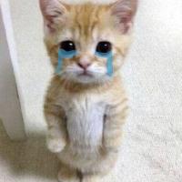 Avatar of pabilisabon