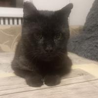 Kristaps Kretainis's avatar